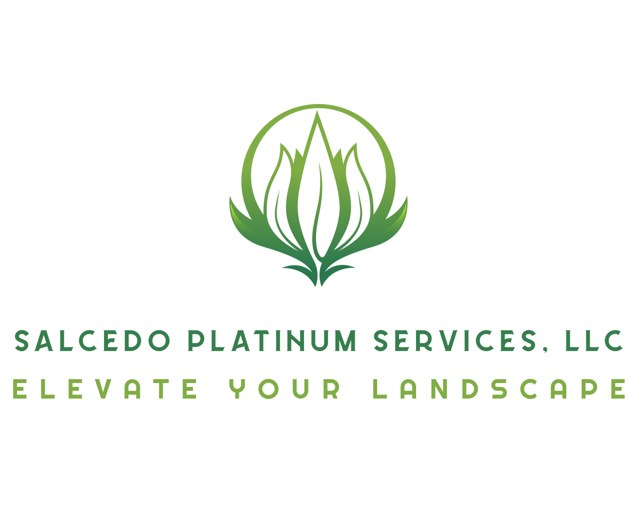 Salcedo Platinum Services Logo